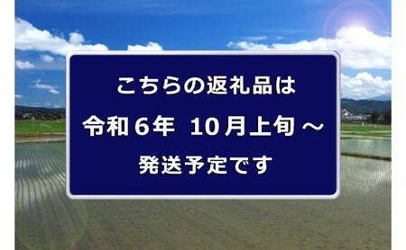 【先行予約】【無洗米】魚沼産川西こしひかり1合×10袋 新潟県認証特別栽培米 令和6年度米＜令和6年10月上旬～発送予定＞