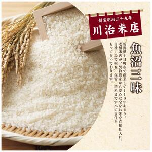 令和6年産 魚沼産コシヒカリ3kg×2袋 令和6年産】 県認証 特別栽培米 魚沼産 コシヒカリ 3kg 精米