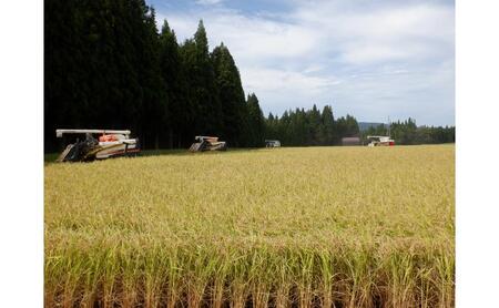 【令和7年産】 魚沼産 新之助 精米 2kg