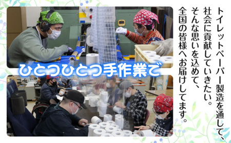 【ふるなび限定】2ヵ月連続2回 定期便 トイレットペーパー シングル 65m 20ロール FN-Limited 無包装 香りなし 日本製 日用品 備蓄 リサイクル 無地 NPO法人支援センターあんしん 新潟県 十日町市