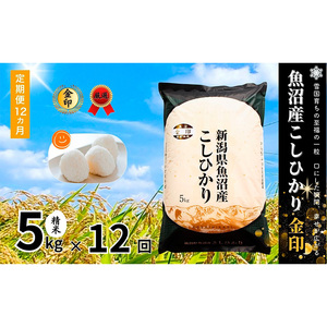米 定期便 12ヶ月 コシヒカリ 金印 5kg 精米 白米 お米 魚沼産コシヒカリ 新潟米 新潟 十日町市 定期 12回
