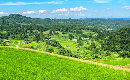 大地の恵みを味わいながら未来を守る「星峠棚田米」 2kg（白米）越後まつだい 魚沼産コシヒカリ
