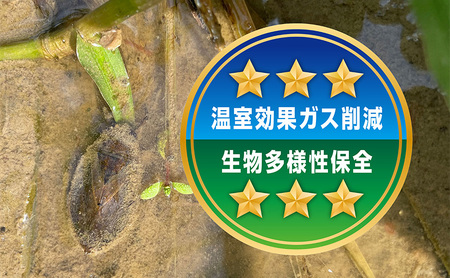 大地の恵みを味わいながら未来を守る「星峠棚田米」 2kg（白米）越後まつだい 魚沼産コシヒカリ