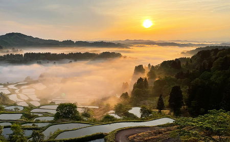 大地の恵みを味わいながら未来を守る「星峠棚田米」 5kg（白米）越後まつだい 魚沼産コシヒカリ