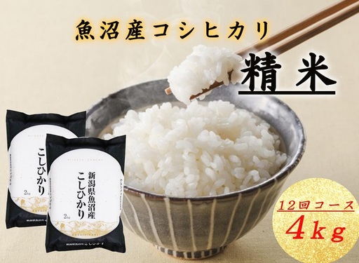 T-15【令和7年産 頒布会】魚沼産コシヒカリ 4kg×全12回米 コメ こしひかり 精米 ブランド米 お取り寄せ 十日町市