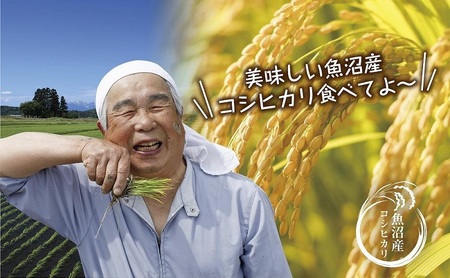 【無地熨斗】|無洗米| 魚沼産 コシヒカリ 5kg ×2袋 計10kg