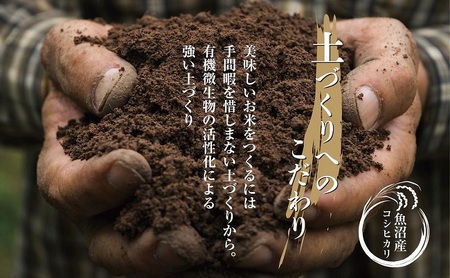 |無洗米| 魚沼産 コシヒカリ 5kg ×6袋 計30kg