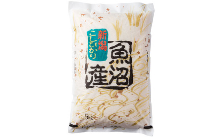 【6か月定期便】魚沼産コシヒカリ5kg