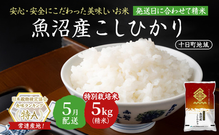 【令和7年産米】特別栽培米 魚沼産こしひかり(十日町地域) 精米 5kg 5月配送 お米 精米 こめ ご飯 白米 特別栽培  旧：五郎兵衛