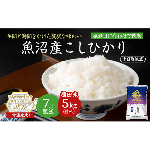 【令和7年産米】魚沼産こしひかり 棚田米(十日町地域) 精米 5kg 7月配送 お米 精米 こめ ご飯 白米 旧：五郎兵衛