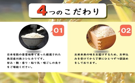 【定期便/3ヵ月】魚沼産コシヒカリ 5kg 厳選 低温管理 自社精米 新潟 こしひかり