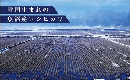 【定期便/3ヵ月】魚沼産コシヒカリ 5kg 厳選 低温管理 自社精米 新潟 こしひかり