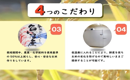 【定期便／6ヵ月】魚沼産コシヒカリ　5kg　厳選　低温管理　自社精米　新潟　こしひかり