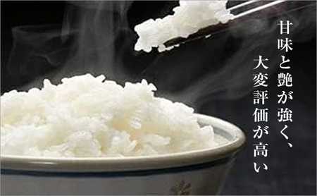 【定期便／6ヵ月】魚沼産コシヒカリ　5kg　厳選　低温管理　自社精米　新潟　こしひかり