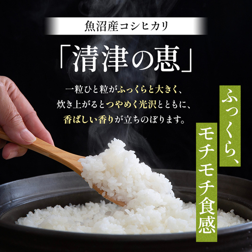 【令和8年産 先行予約】〈定期便〉魚沼産特別栽培米コシヒカリ［清津の恵］精米5kg全6回