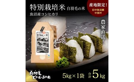 通年受付】≪令和5年産≫ 農家直送！魚沼産コシヒカリ特別栽培「白羽毛