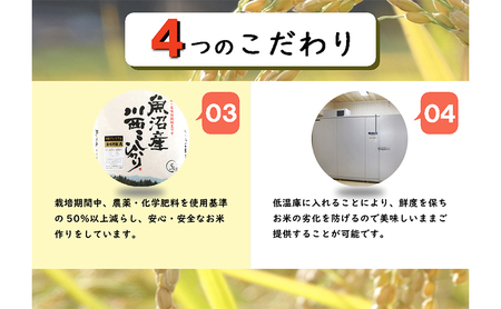 魚沼産川西こしひかり5kg×2