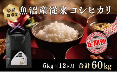 12カ月定期便【特別栽培米】頂米金兵衛 魚沼産従来コシヒカリ（精米）5kg お米 コメ