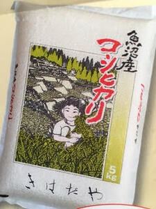 魚沼産コシヒカリ特上米5kg お米 おこめ こめ 精米 白米 こしひかり 新潟