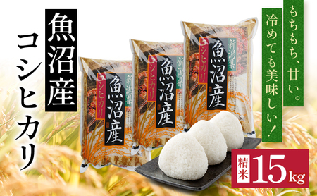 令和7年度産【十日町産】 魚沼産コシヒカリ15kg 米 お米 こしひかり 精米 新潟