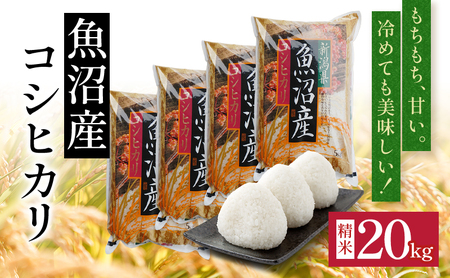 令和7年度産【十日町産】 魚沼産コシヒカリ20kg 米 お米 こしひかり 精米 新潟