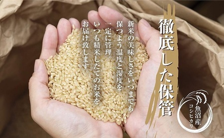 魚沼産 コシヒカリ 5kg お米 こしひかり 新潟 （お米の美味しい炊き方ガイド付き）