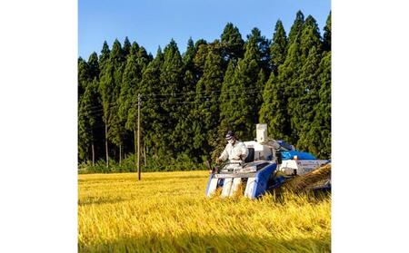 【令和7年産】定期便！魚沼産こだわり従来コシヒカリ【合計60kg】毎月20kg×3回 ブランド米 銘柄米 白米 精米 ご飯 おにぎり お弁当