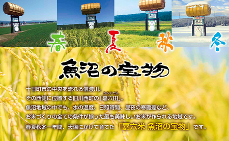 定期便 隔月発送 6回】魚沼産 コシヒカリ 2kg 特別栽培米 魚沼の宝物