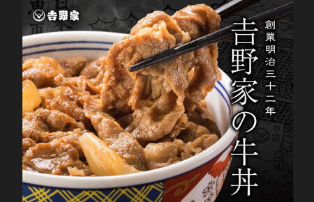 【定期便 ６ヶ月】吉野家 人気５種１０袋セット（冷凍） 牛丼 レトルト 非常食 防災食 6ヶ月 お楽しみ 新潟 