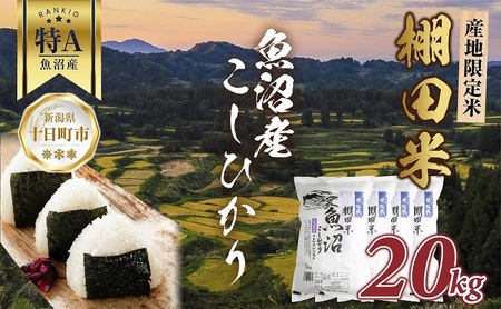 ふるさと納税 新潟県 十日町市 魚沼産 コシヒカリ 10kg 特別栽培米 魚沼の宝物 嘉六 農家のこだわり 新潟県 十日町市 こしひかり お米 こめ 白米 … 令和7年産 新米予約魚沼産 コシヒカリ 10kg 精米 新潟県 十日町市