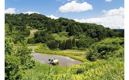【玄米】江戸伝承厳選棚田米２Kg お米 コメ 2kg 
