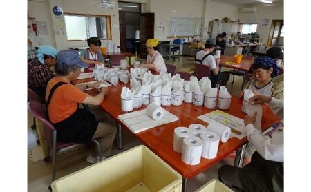 トイレットペーパー定期便「A3」【障がい者支援の返礼品】 雑貨 日用品 生活支援 サポート