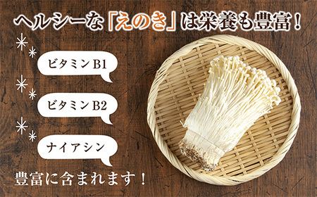 乾燥えのき 3袋セット／国産 乾燥 えのき 50g×3袋 エノキ きのこ キノコ 無添加 国産原料 干しえのき ドライきのこ ドライフード だし 出汁 簡単調理 時短 保存食 ギフト お取り寄せ はぴふる 新潟県 十日町市