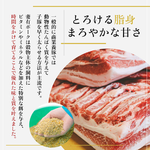 【魚沼銘柄豚】妻有ポーク 豚ロース食べ比べ 5種セット（各100ｇ） 肉 お肉 豚肉 詰め合わせ 新潟 