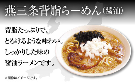 新潟 ご当地ラーメン 2種 燕三条背脂 佐渡あごだし 計8食 替え玉付き 乾麺 らーめん しょうゆ しお ラーメン 食べ比べ お取り寄せ ご当地 グルメ ギフト 松代そば善屋 新潟県 十日町市 麺類 コシ こだわり 本格的 