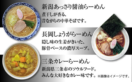 新潟5大ラーメン あっさり醤油 燕三条背脂 長岡しょうが 濃厚味噌 三条カレーらーめん 計10食 替え玉 乾麺 詰め合わせ しょうゆ みそ 備蓄 ご当地 お取り寄せ ギフト 松代そば善屋 新潟県 十日町市 麺類 コシ こだわり 本格的 