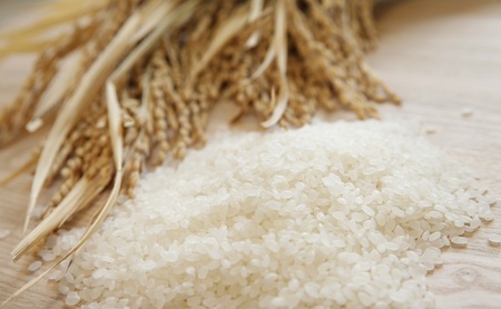 【定期便】魚沼産コシヒカリ 2kg×全3回 お米 コメ