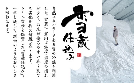 【定期便】魚沼産コシヒカリ 2kg×全3回 お米 コメ