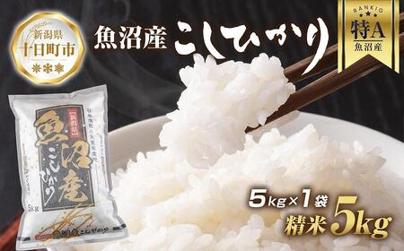 DE248 【令和5年産 新米】 魚沼産 コシヒカリ 5kg 新米 農家のこだわり