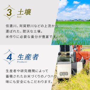 ≪ 定期便 ≫ 無洗米 令和5年産 コシヒカリ 5kg × 3ヶ月 連続(計 15kg ) 新潟県産 洗わずに炊ける 精米 し立てをお届け 新潟 のど真ん中 見附市 こしひかり 米 お米 白米 国産 ごはん ご飯