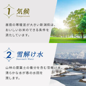 ≪ 定期便 ≫ 無洗米 令和6年産 コシヒカリ 5kg × 6ヶ月 連続 新潟県産 見附市 洗わずに炊ける お米 計 30kg 半年分 精米 し立てをお届け 新潟 のど真ん中 見附市 こしひかり 米 お米 白米 国産 ごはん ご飯