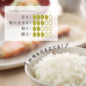 お米 定期便 6回 計 48kg こしいぶき 令和6年産 8kg× 6ヶ月 精米 コシヒカリ を引き継ぐ美味しさ 新潟県産 ブランド 品種 精米 し立てをお届け 新潟 のど真ん中 見附市 米 白米 国産 ごはん ご飯