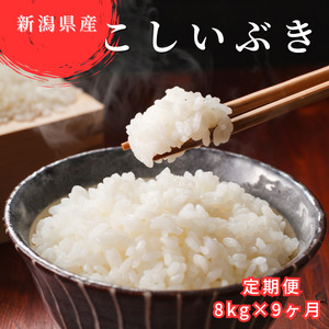 ≪ 定期便 ≫ 令和5年産 新潟県産 こしいぶき 計72kg  (8kg× 9ヶ月 ) 精米 コシヒカリ を受け継ぐ美味しさ 精米 し立てをお届け 新潟 のど真ん中 見附市 米 お米 白米 国産 ごはん ご飯