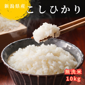 無洗米 新潟県産 令和6年産 コシヒカリ 10kg 精米 したてをお届け 新潟のど真ん中 見附市 こしひかり 米 お米 白米 国産 ごはん ご飯