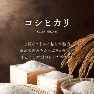 無洗米 新潟県産 令和6年産 コシヒカリ 10kg 精米 したてをお届け 新潟のど真ん中 見附市 こしひかり 米 お米 白米 国産 ごはん ご飯