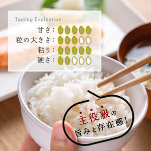 【令和7年産】新潟県のど真ん中 見附市産のコシヒカリ 精米2kg