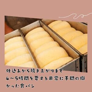 【6か月定期便】もちもち食パン