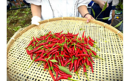 米作りからこだわった「玄米カイロ」（アイマスク）