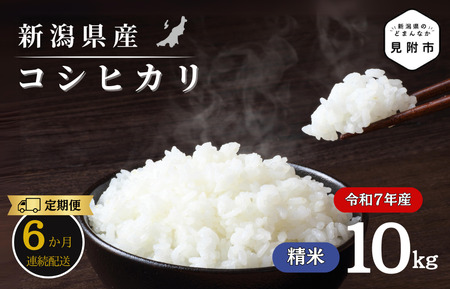 【6か月定期便】R7年産 新潟県産 コシヒカリ 10kg （精米） 新潟のど真ん中 見附市 こしひかり 米 お米 白米 国産 ごはん ご飯