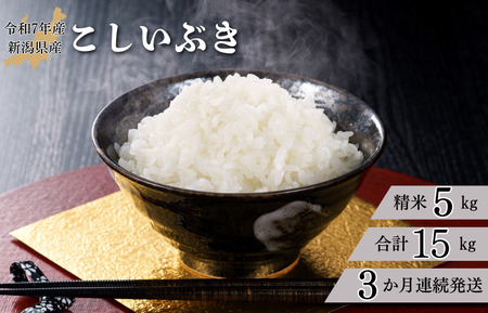 【3か月定期便】R7年産 新潟県産 こしいぶき 5kg (精米)